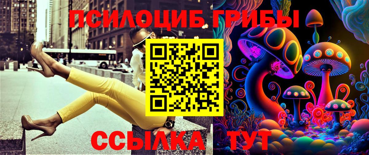Псилоцибиновые грибы Psilocybine cubensis Алексеевка