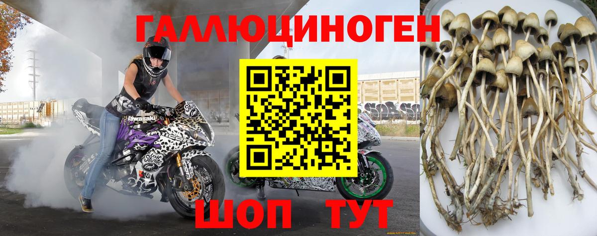 Галлюциногенные грибы прущие грибы  Вход с VPN  Алексеевка 
